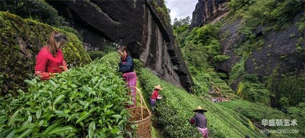 中国传统制茶技艺被列入教科文组织非物质文化遗产名录 