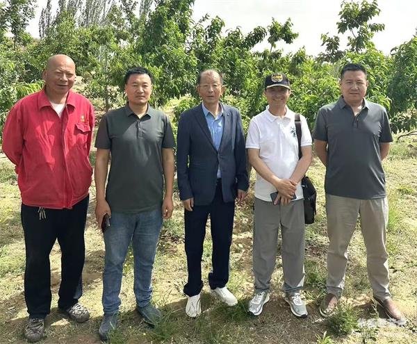 微信图片_20250609083733.jpg